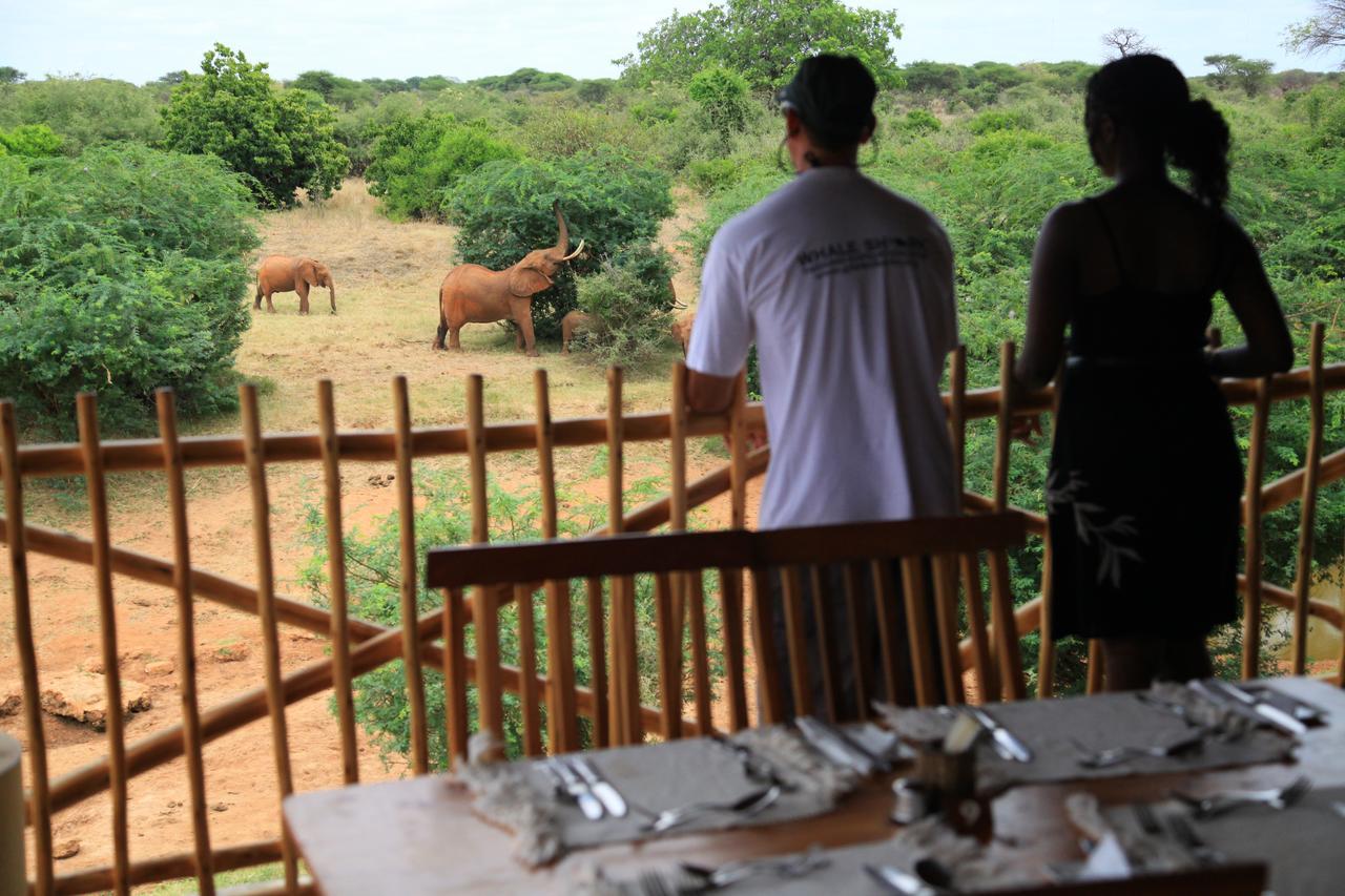 Manyatta Camp Hotel Voi Eksteriør billede